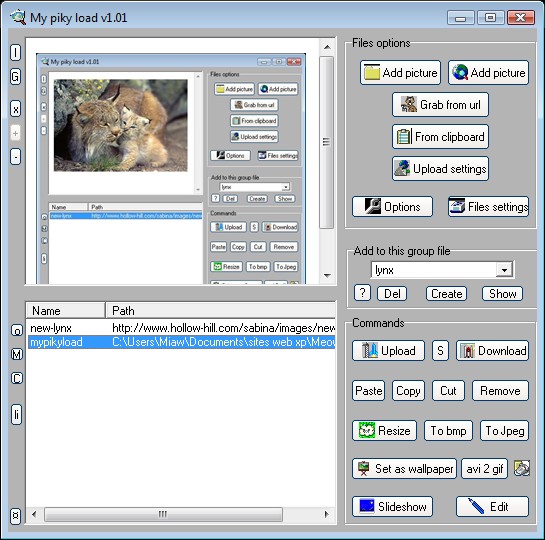 Click to view Mypikyload 1.01 screenshot